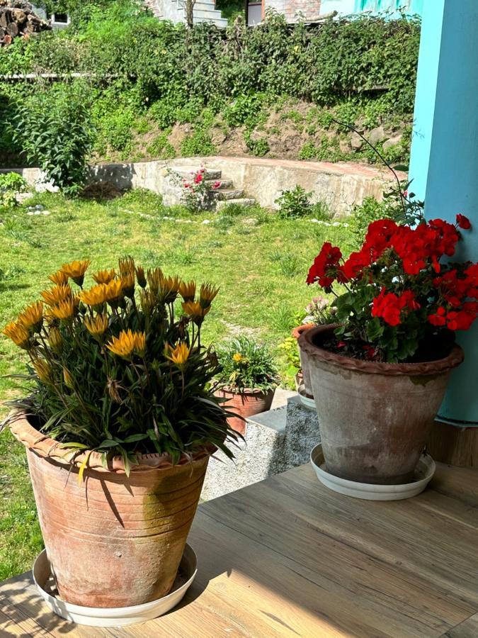 Jal-Vayu Cottages Manāli Esterno foto