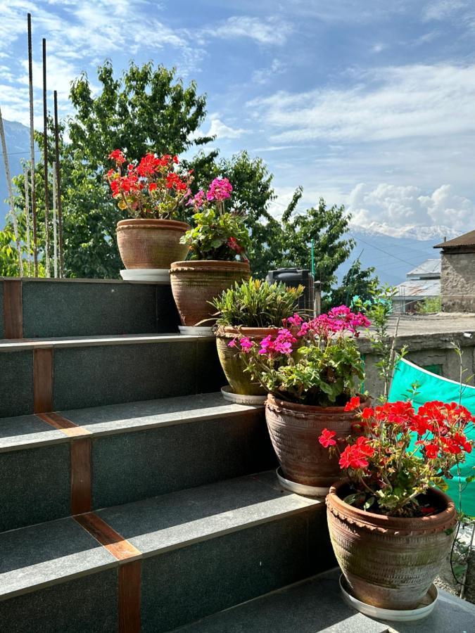 Jal-Vayu Cottages Manāli Esterno foto